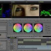 Training Media Center, Il centro di formazione di Avid Italia