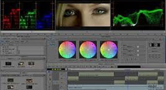 Training Media Center, Il centro di formazione di Avid Italia