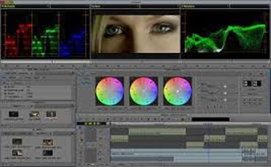 Training Media Center, Il centro di formazione di Avid Italia