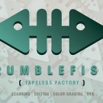 Mediastars riconosce e premia la creatività di Rumblefish VFX