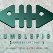 Mediastars riconosce e premia la creatività di Rumblefish VFX