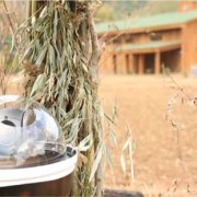 Il reality show “Utopia” realizzato grazie a Sony