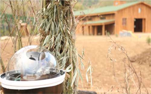 Il reality show “Utopia” realizzato grazie a Sony