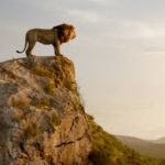 Rob Legato si affida a Blackmagic Design per creare l'ambiente virtuale del Re Leone