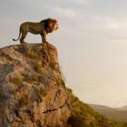 Rob Legato si affida a Blackmagic Design per creare l’ambiente virtuale del Re Leone