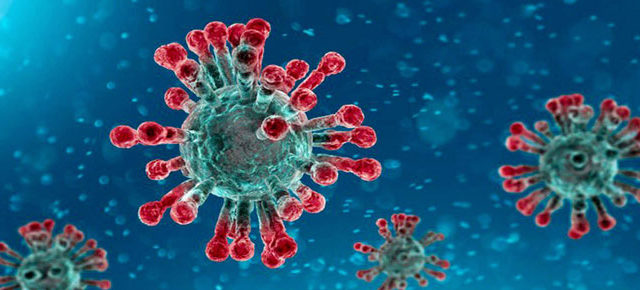 Coronavirus, cresce l'audience tv ma si rischia l'infodemia