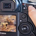 Canon Italia protagonista al Cortona On The Move