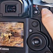 Canon Italia protagonista al Cortona On The Move