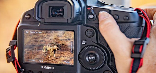 Canon Italia protagonista al Cortona On The Move