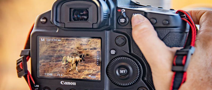 Canon Italia protagonista al Cortona On The Move