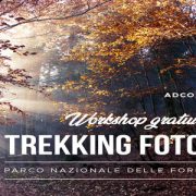 Domenica 18 ottobre 2020 con Adcom e Sony nel Parco delle Foreste Casentinesi