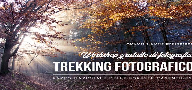 Domenica 18 ottobre 2020 con Adcom e Sony nel Parco delle Foreste Casentinesi