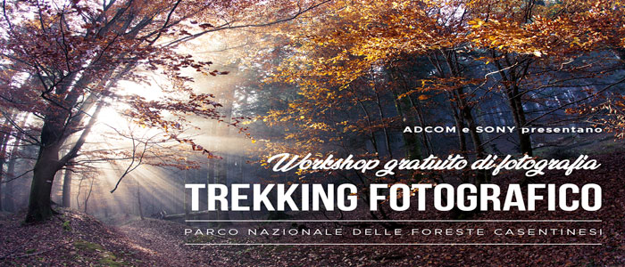 Domenica 18 ottobre 2020 con Adcom e Sony nel Parco delle Foreste Casentinesi