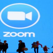 L'anno d'oro di Zoom