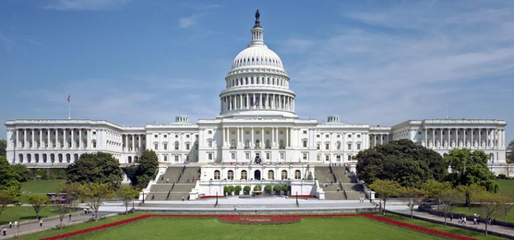 Usa, la scure antitrust contro le Big Tech